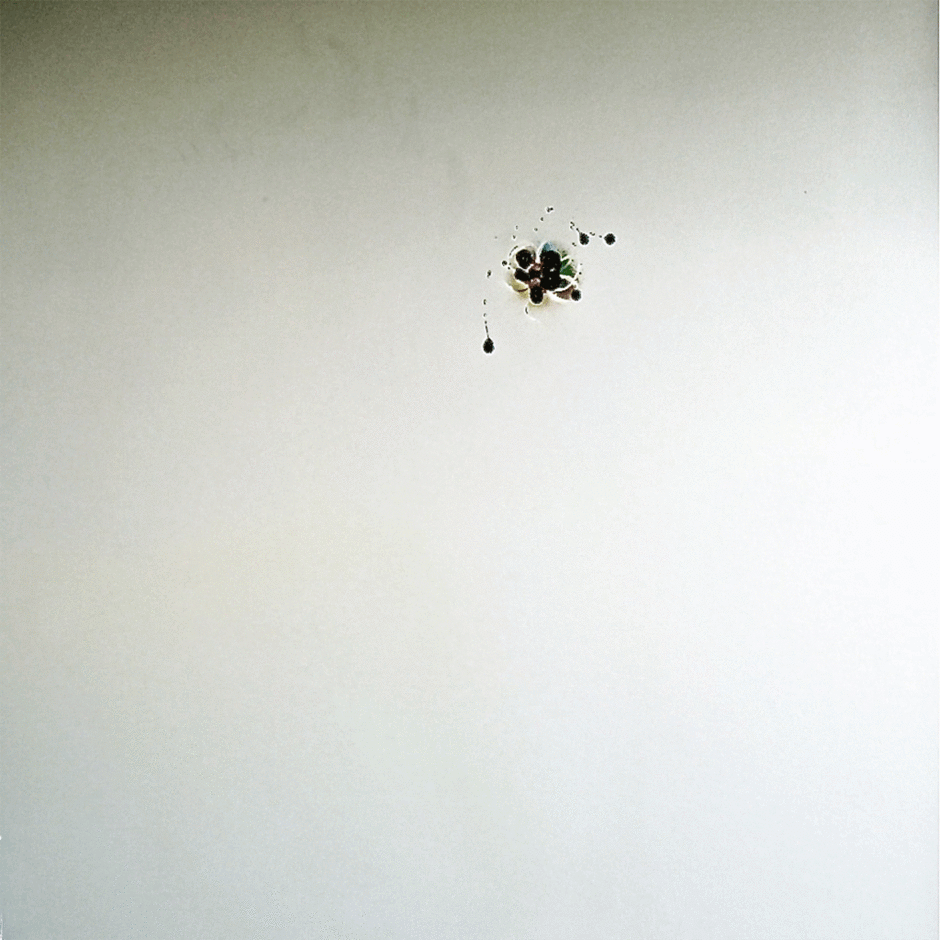 Circles 02, 2010