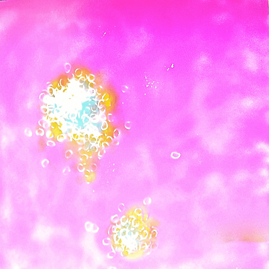 Circles 04, 2010