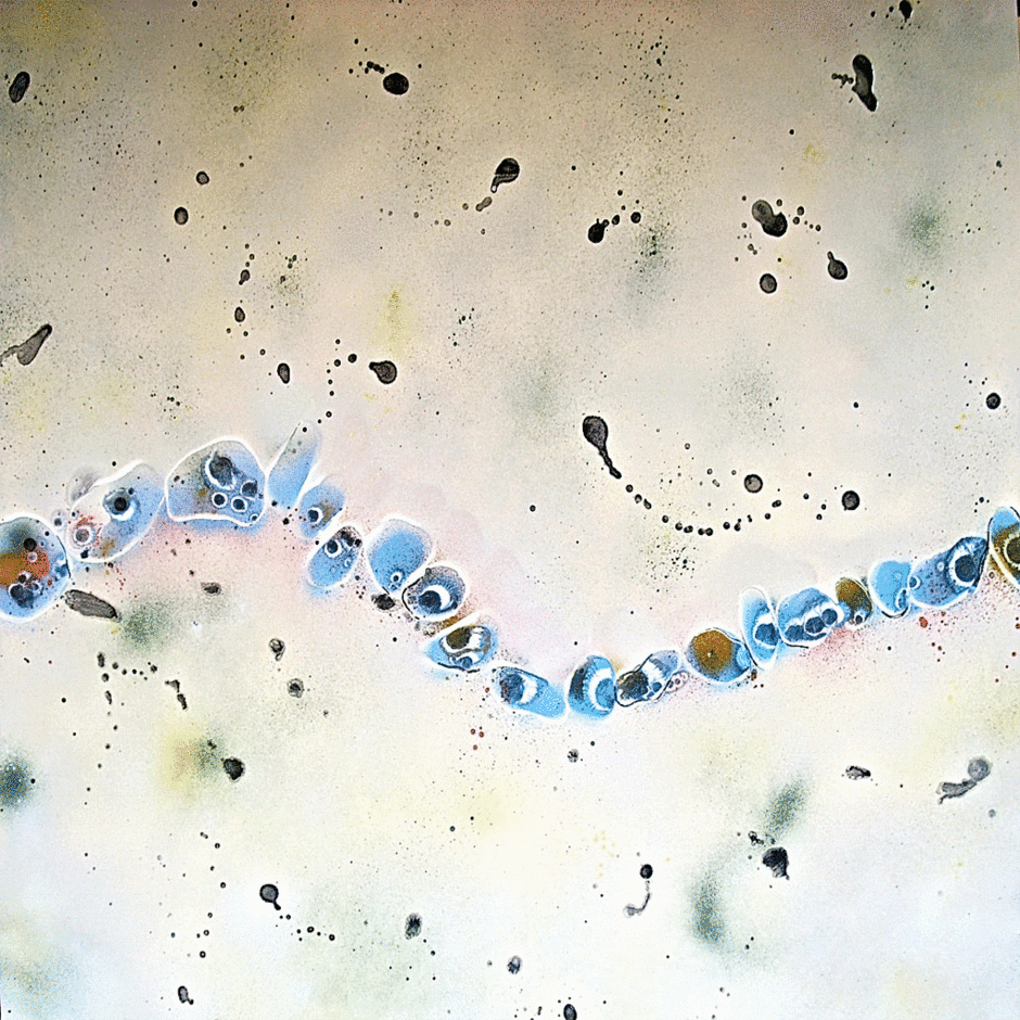 Circles 01, 2010