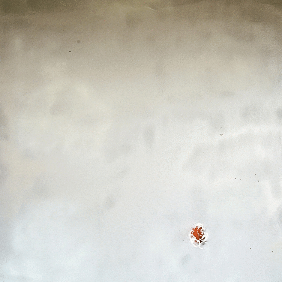 Circles07, 2010