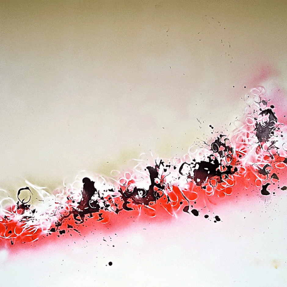 Circles14, 2010