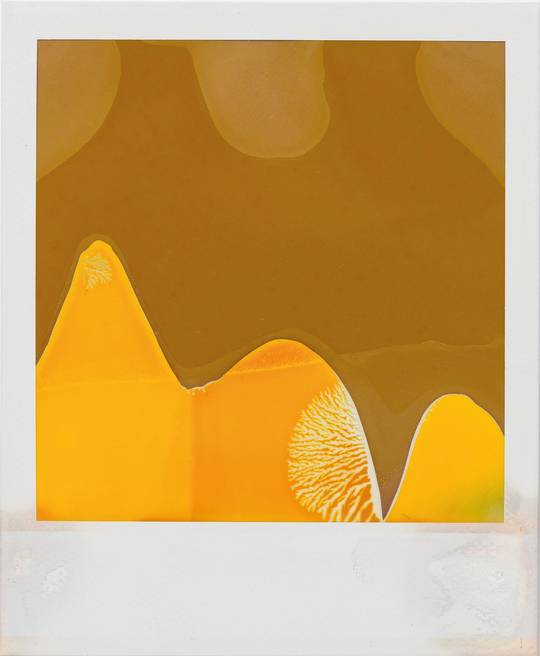 Orange Monk, 2014