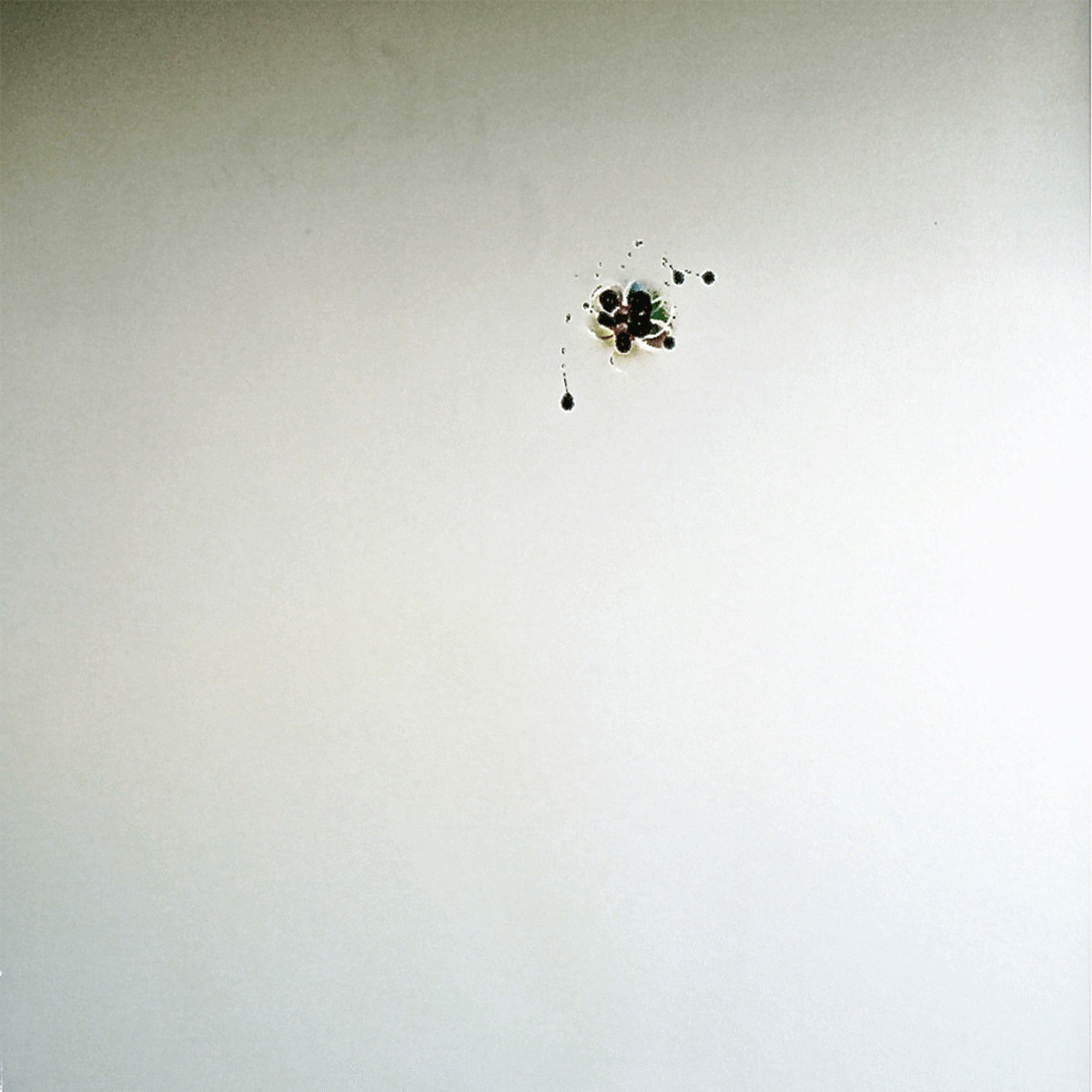 Circles 02, 2010