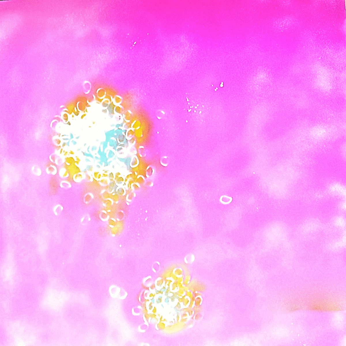 Circles 04, 2010