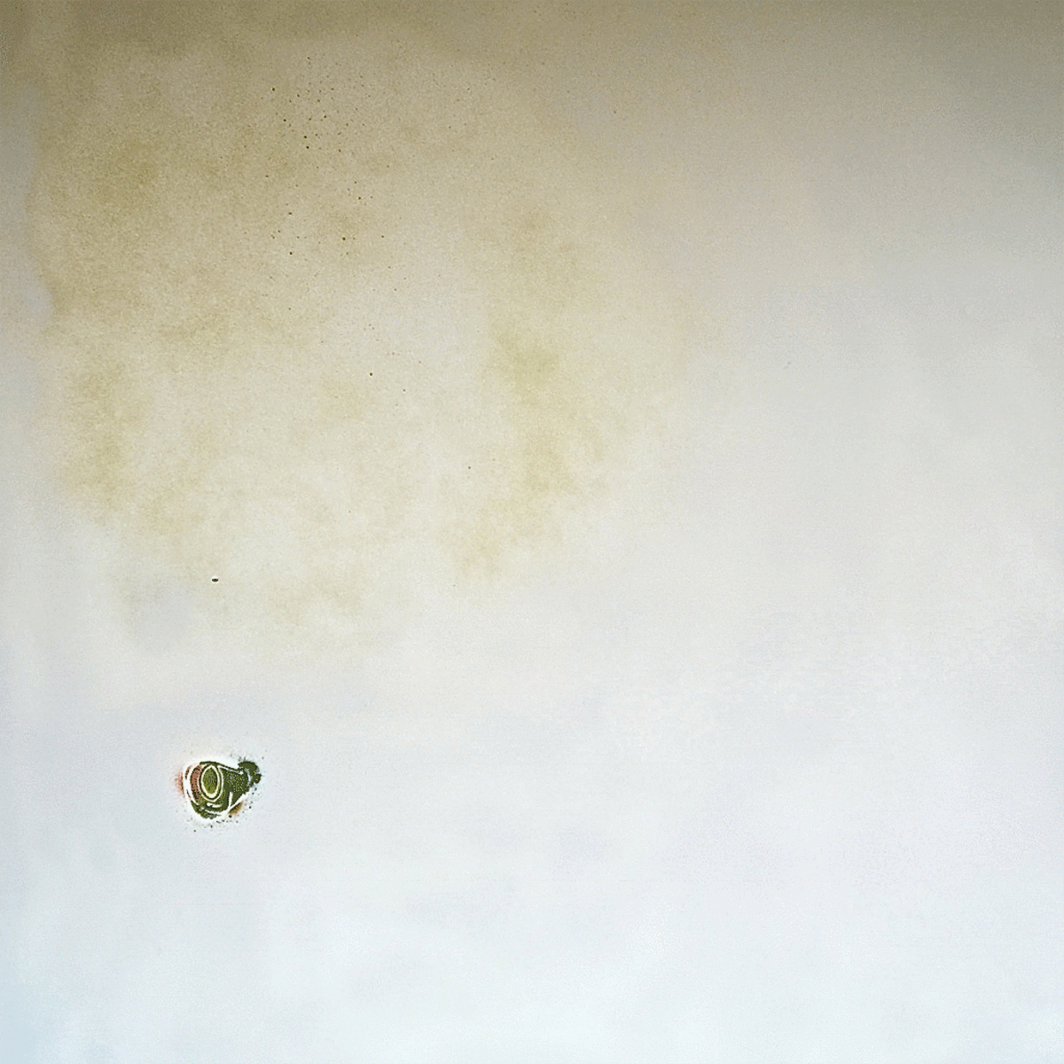 Circles 03, 2010