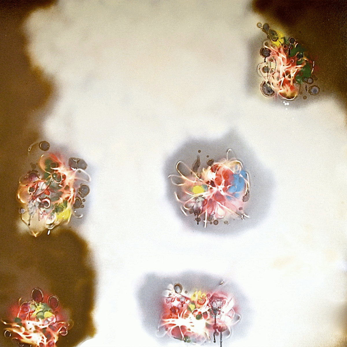 Circles 08, 2010