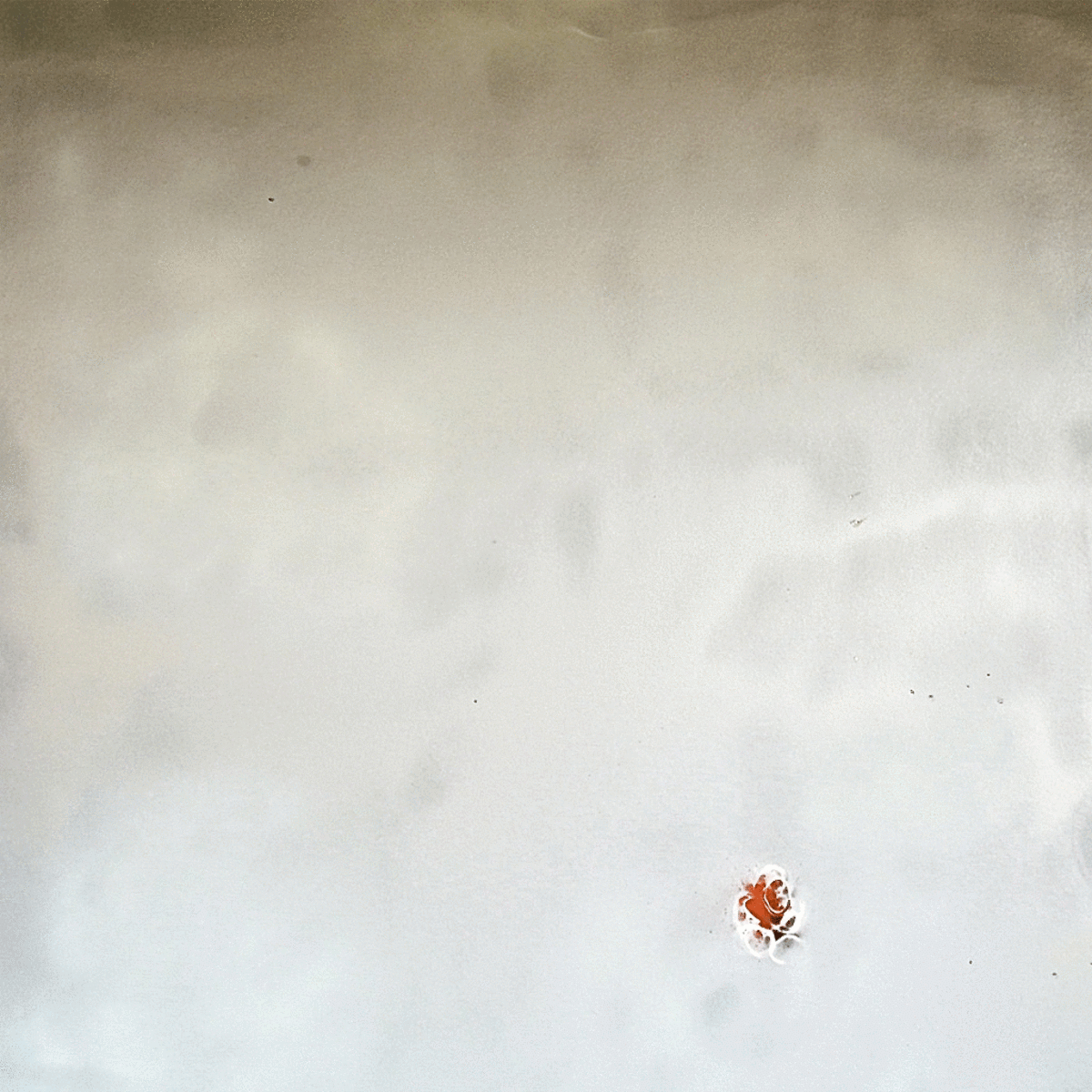 Circles07, 2010