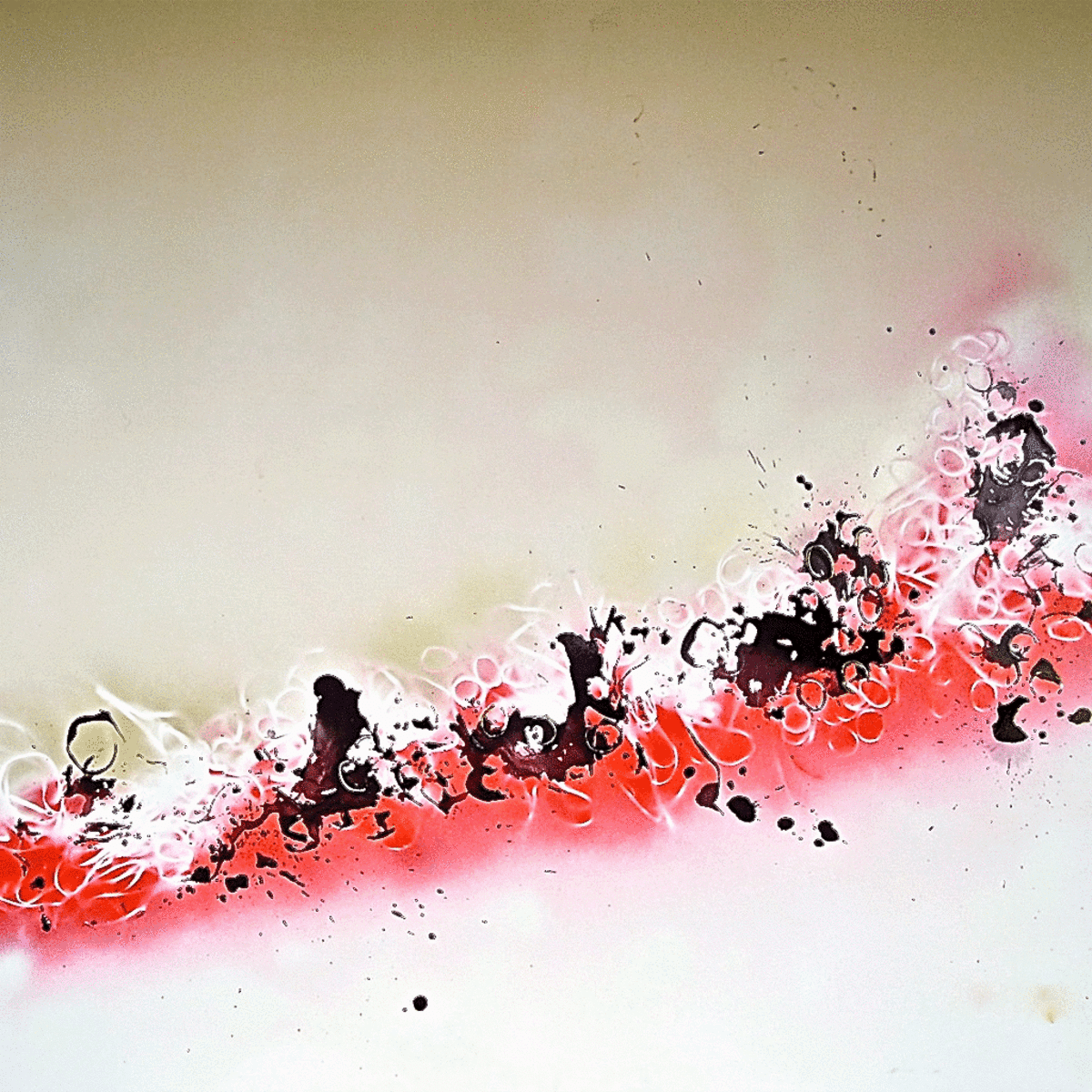 Circles14, 2010