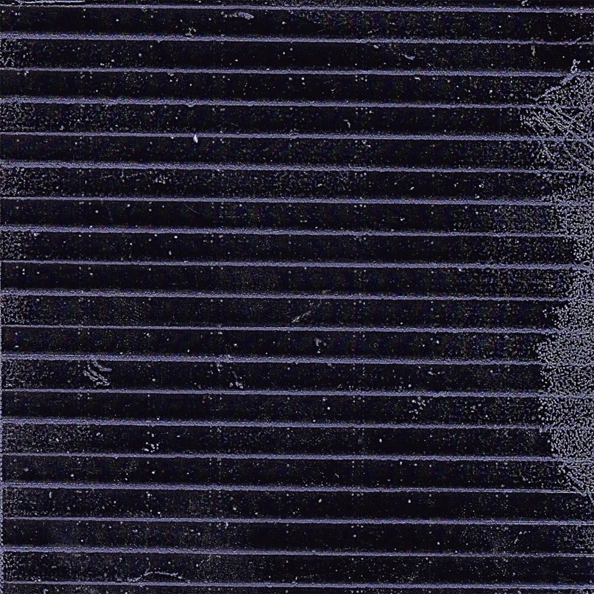 Stripe Monk, 2012