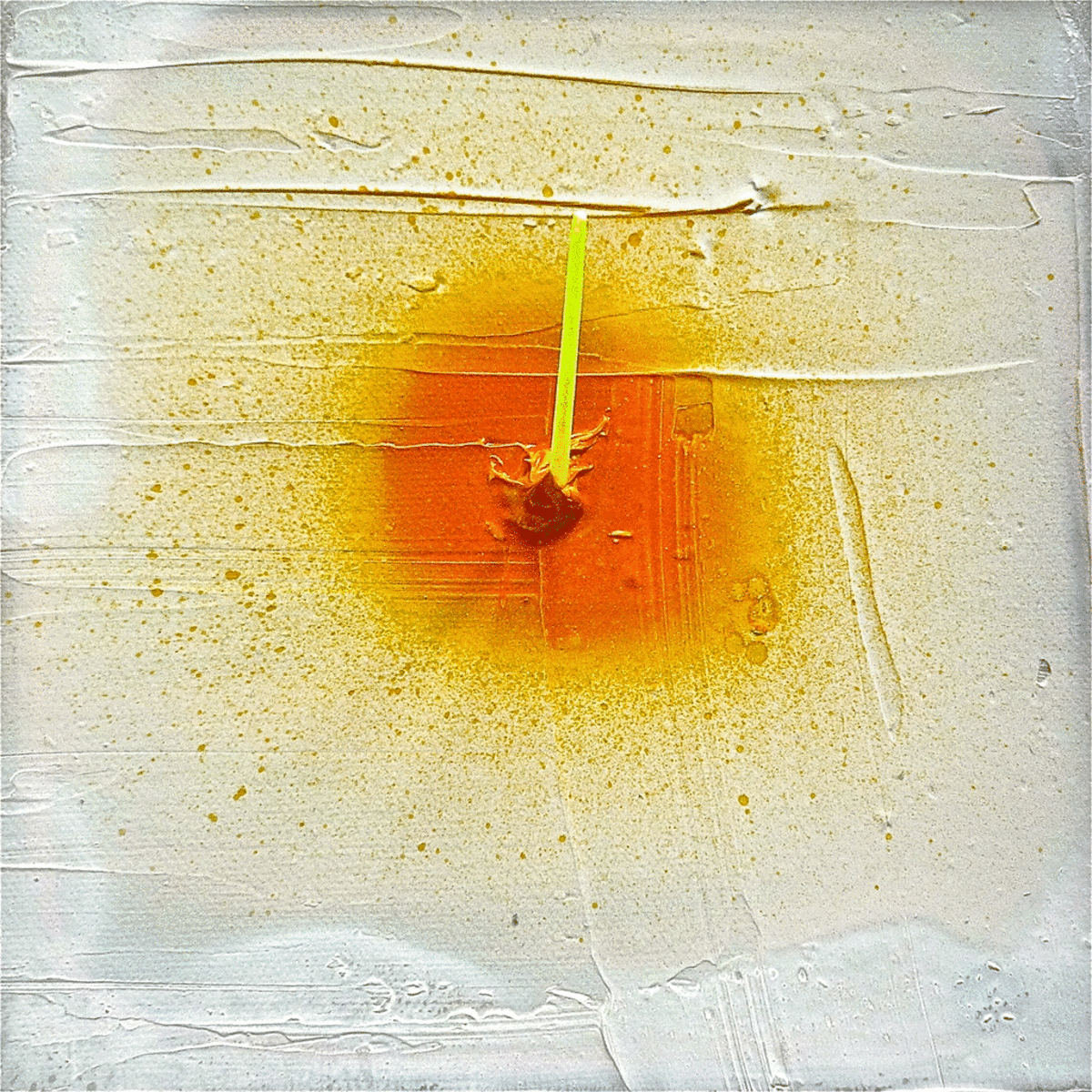 Gap13, 2010