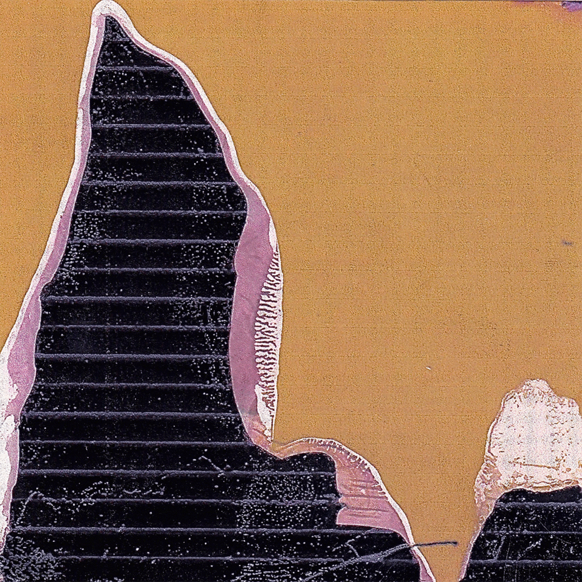 Dangerous Monk, 2014