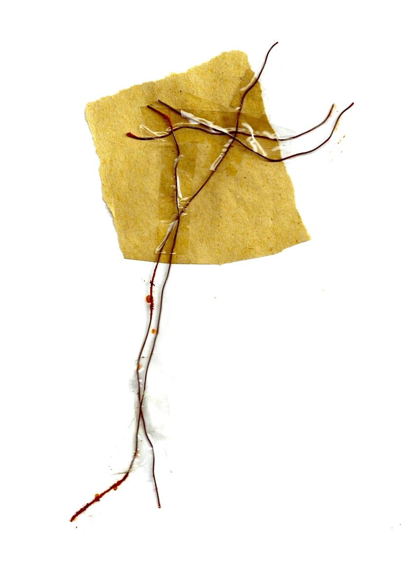 Musician, 2002