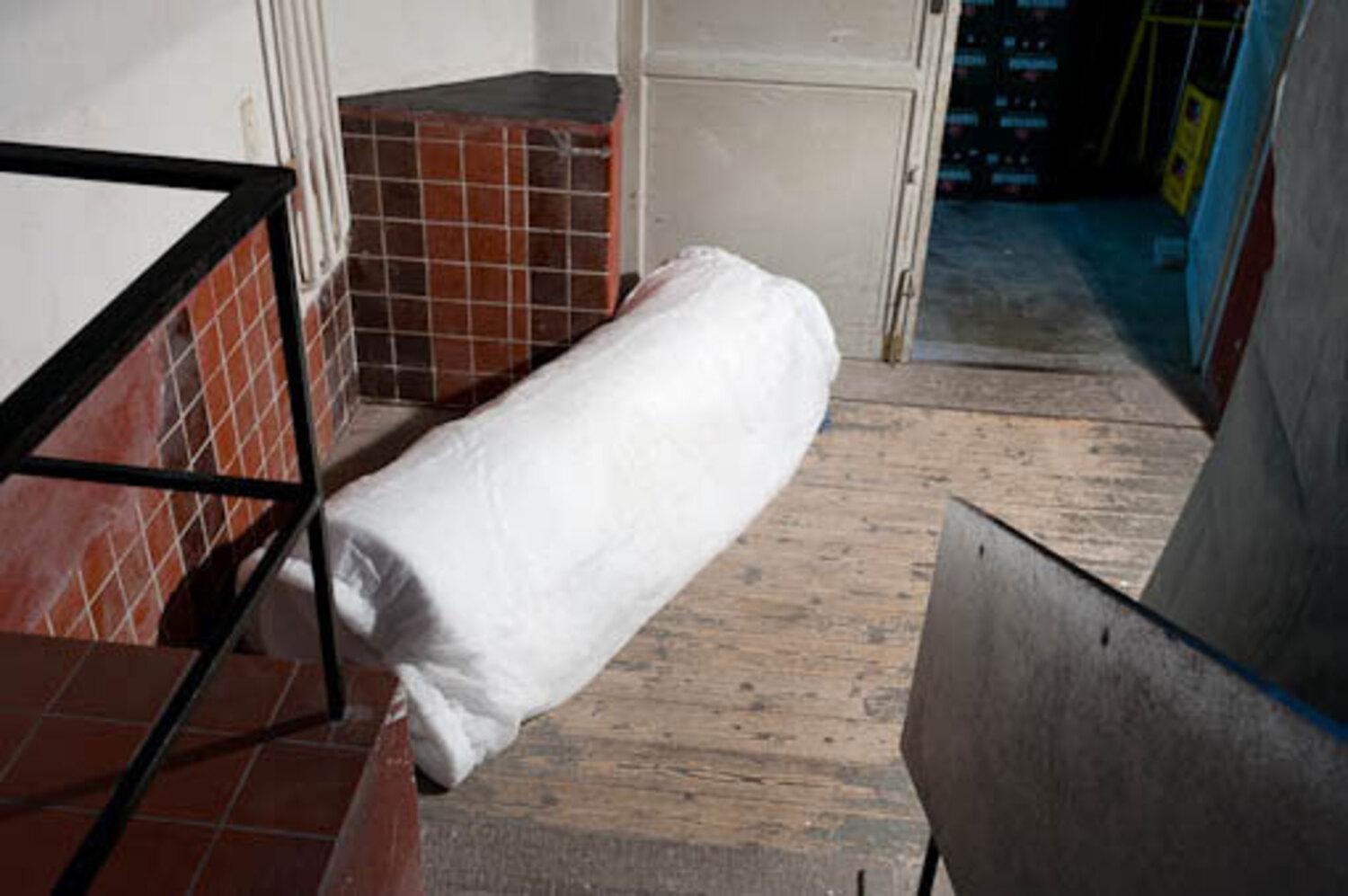 Metamorphosis Now, 2010, image 2