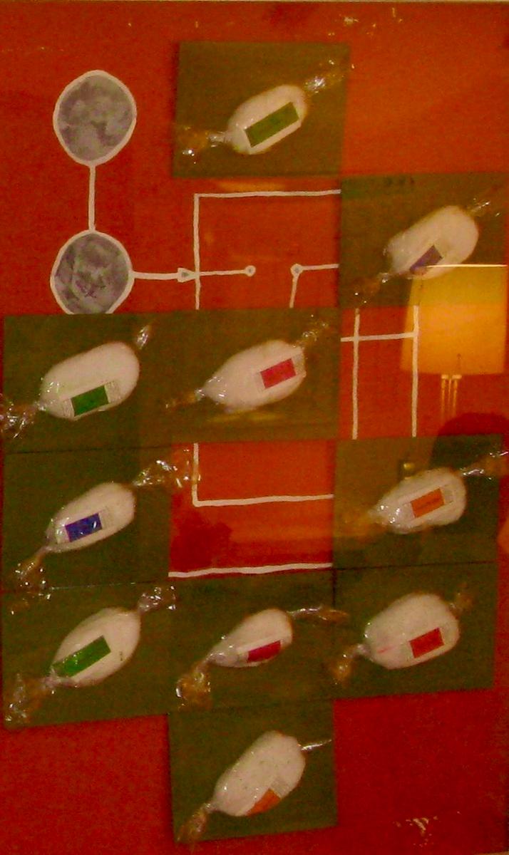 Cloudette 10.3, 2007