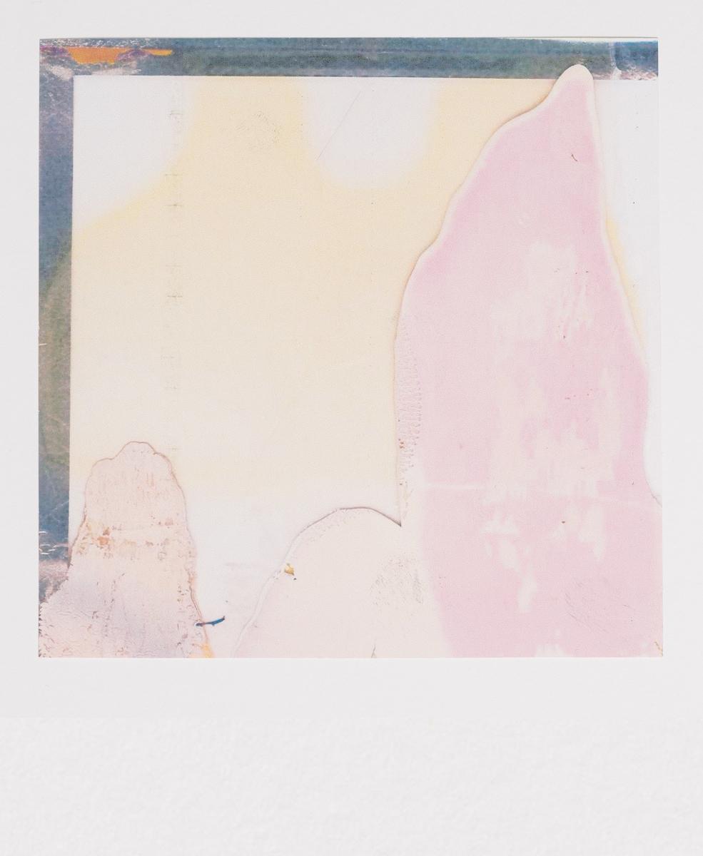 Rose Monk, 2012
